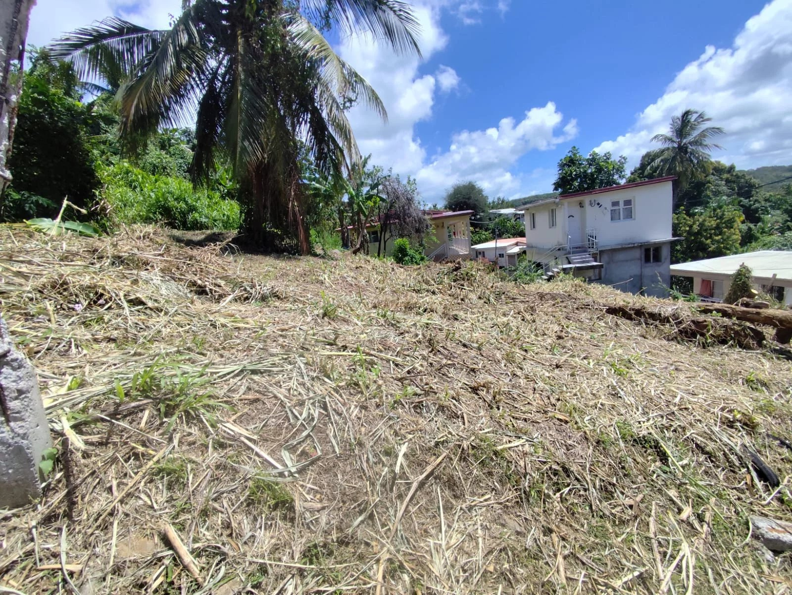 Terrain constructible à vendre à Fort de france, 1 006 m² – photo 1 sur 6