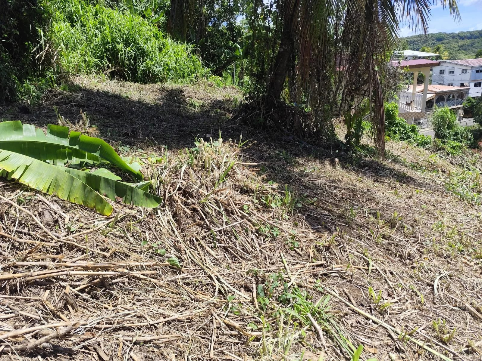 Terrain constructible à vendre à Fort de france, 1 006 m² – photo 3 sur 6